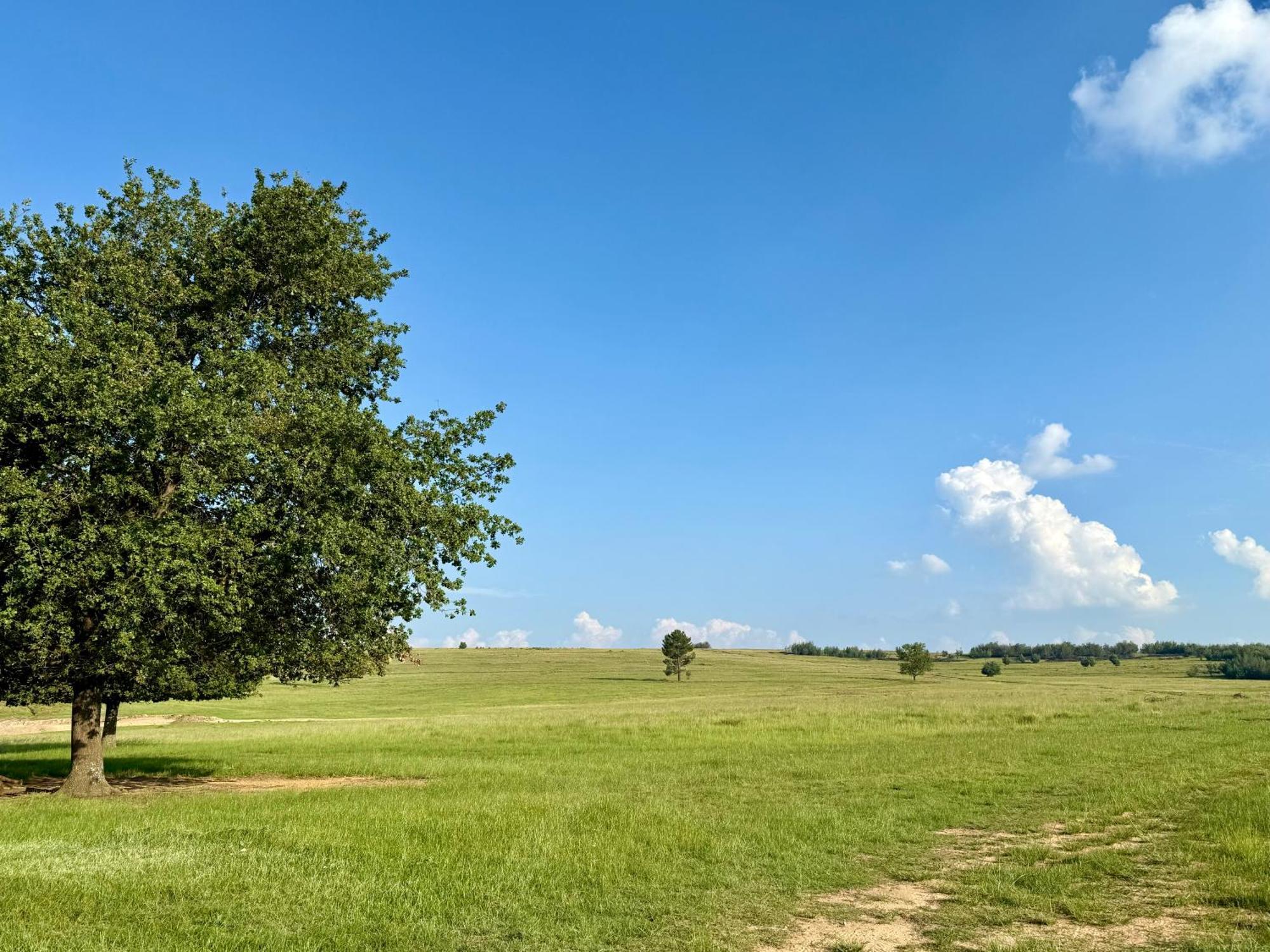 Uitzicht Private Nature Reserve And Lodge Fouriesburg Cameră foto